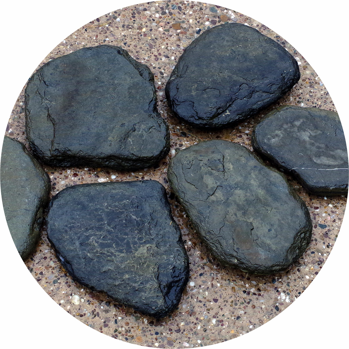 Buy Shoreline Stepping Stones (TobiIshi) Black Specialist